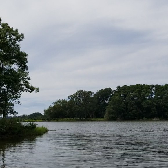 Meet your Posher, Ginny - Picture 1 of 1